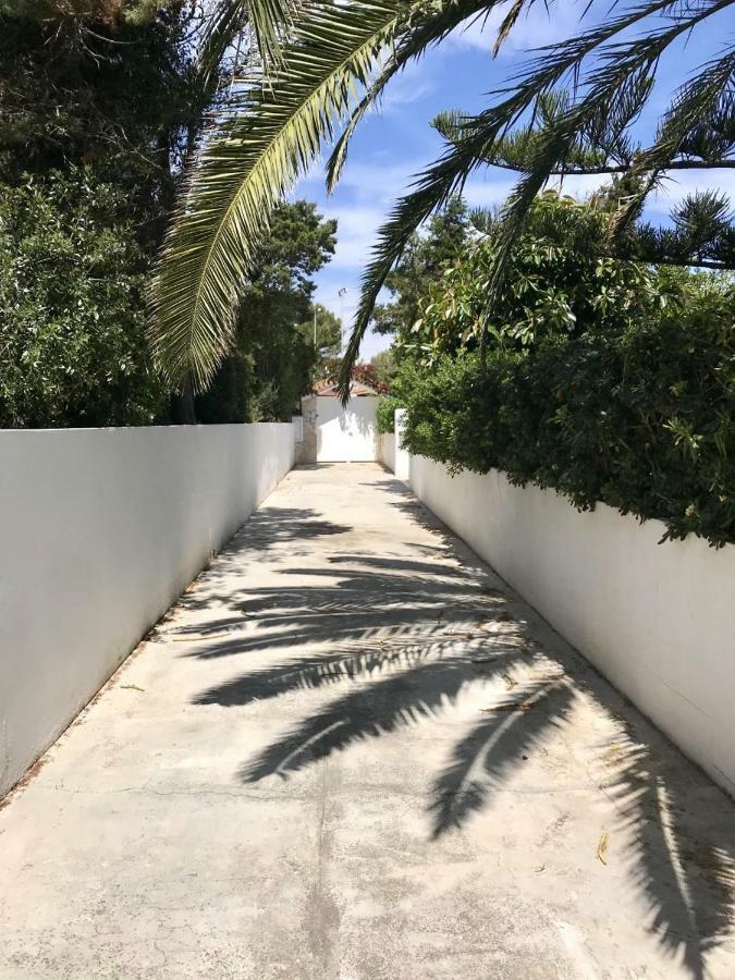 Chalet La Rosa Κάλα Μπλάνκα Εξωτερικό φωτογραφία